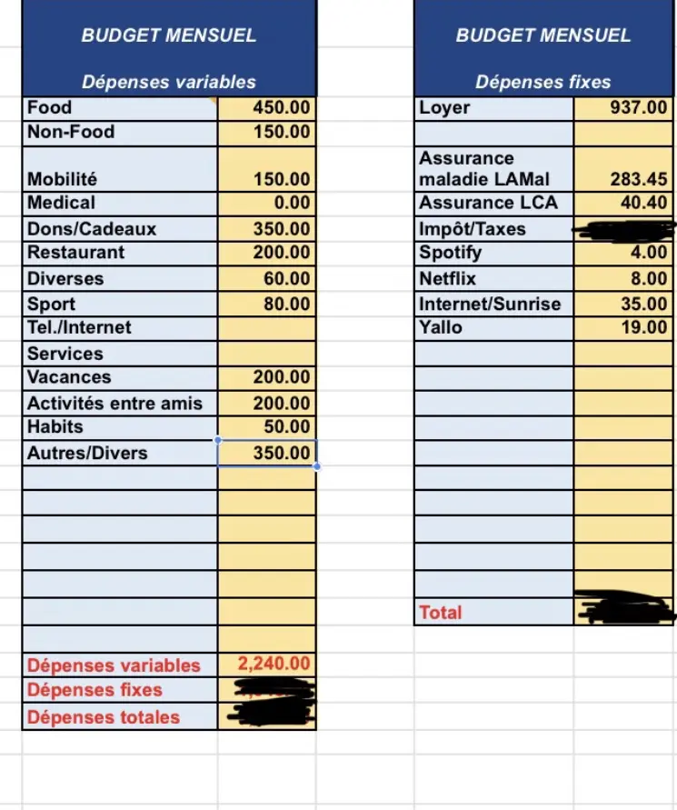 Raphaël's budget (he uses the Excel template provided by my 'colleague' blogger Mr RTF if you wanna check it), and he tells me that he made a mistake for internet, because he only pays CHF 30 as mentioned above :D