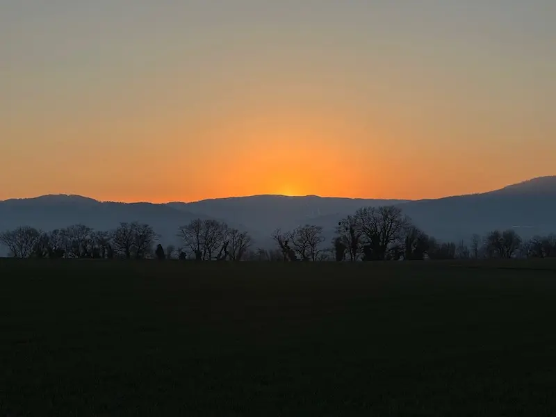 Prise de ma dose hebdomadaire de liberté durant une promenade le long du Jura, en début de soirée printanière