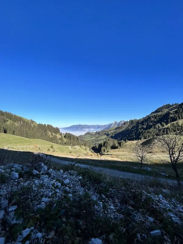 Mountain biking down the Moléson — free, and even generating passive income (thanks to investing in your health in the long run!)