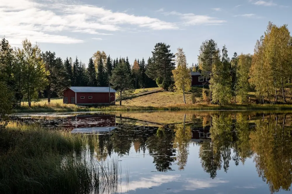 Well no, but alternatively, rather than Swiss German, how about true freedom in a boreal forest in Finland, OK!? (photo credit: pexels.com)
