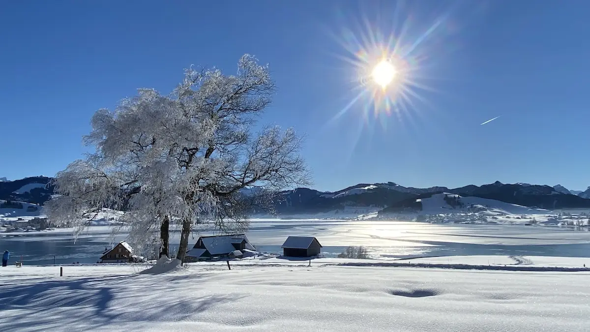 Setup your investments, then forget about them and go cross-country skiing! (photo taken near Einsiedeln)