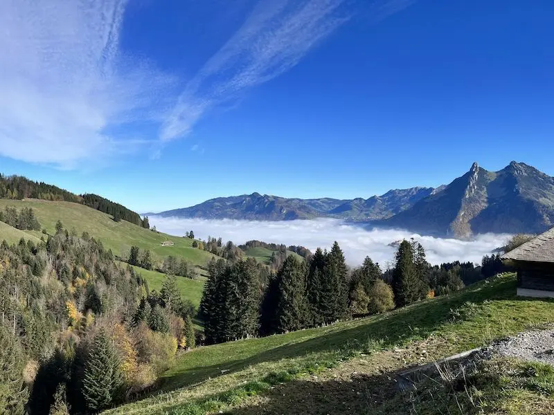 Here is the image I have in mind when I talk about the FIRE movement: the freedom felt with this magnificent view of the Moléson